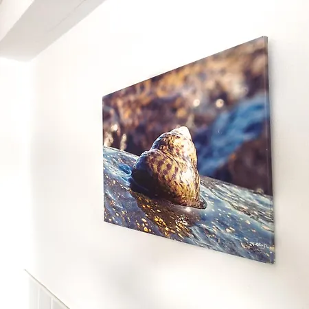 Agua Viva * Playa Quemada